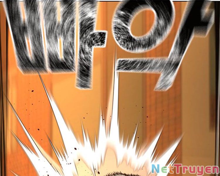 Chapter 13