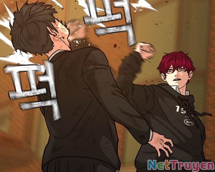 Chapter 13
