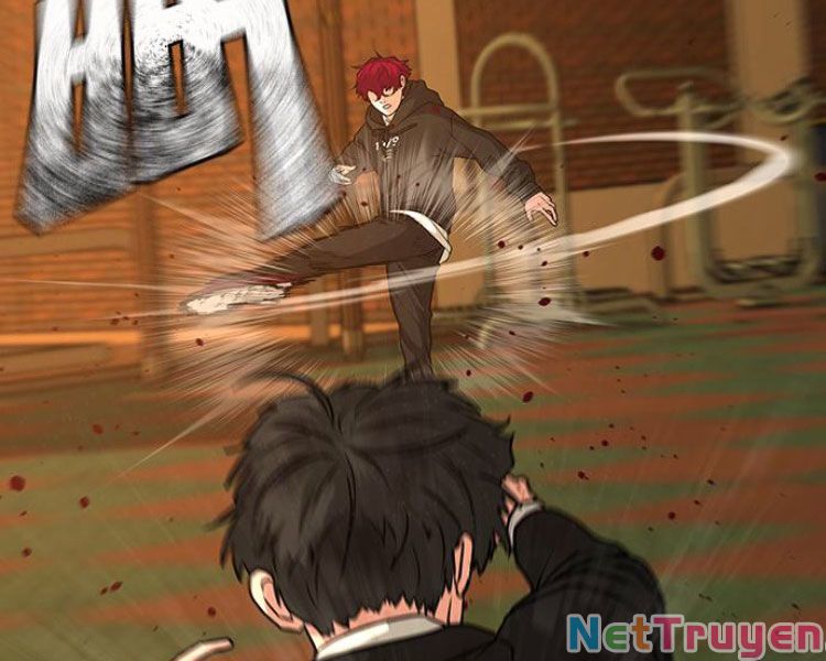 Chapter 13