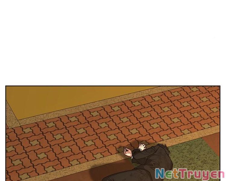 Chapter 13
