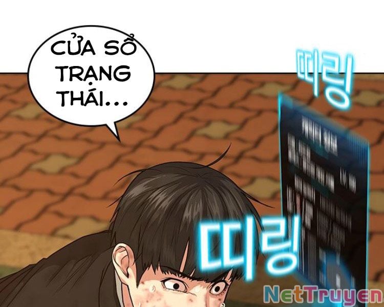 Chapter 13