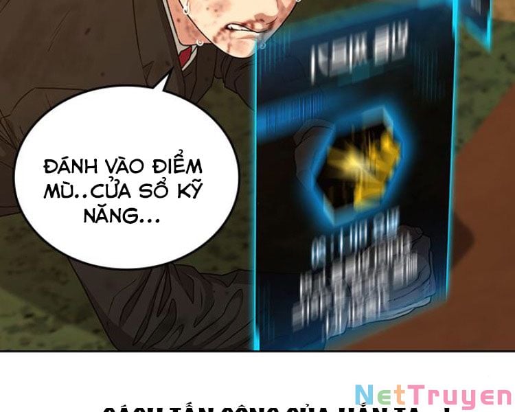 Chapter 13