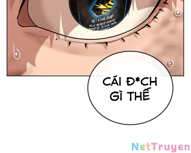 Chapter 13