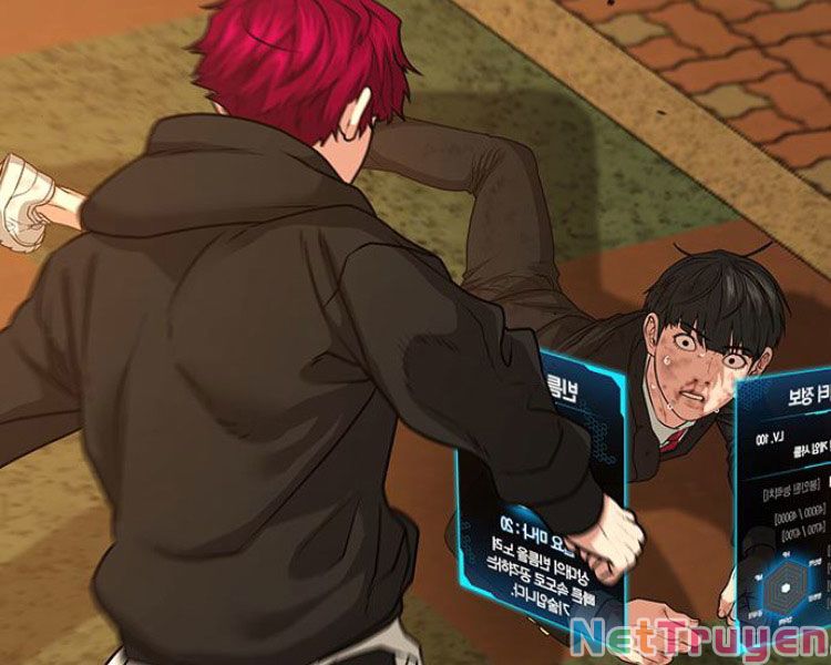 Chapter 13