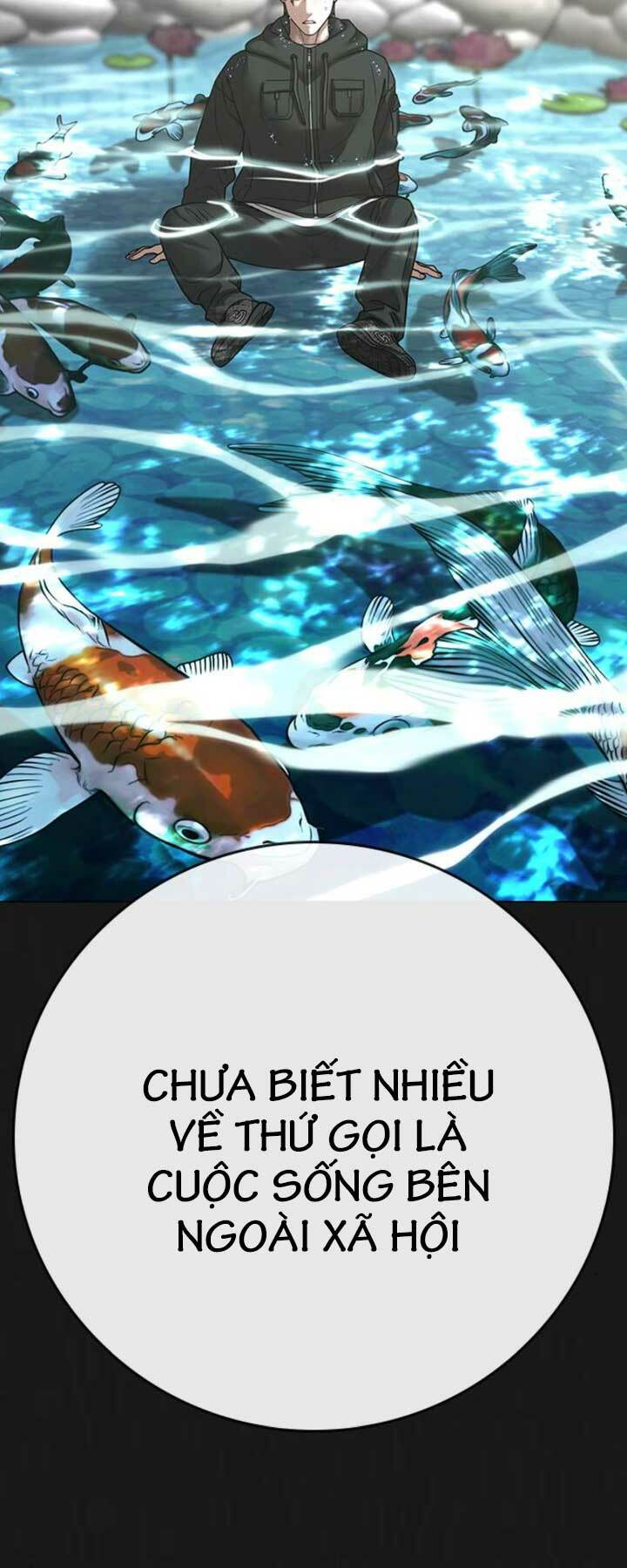 Chapter 104
