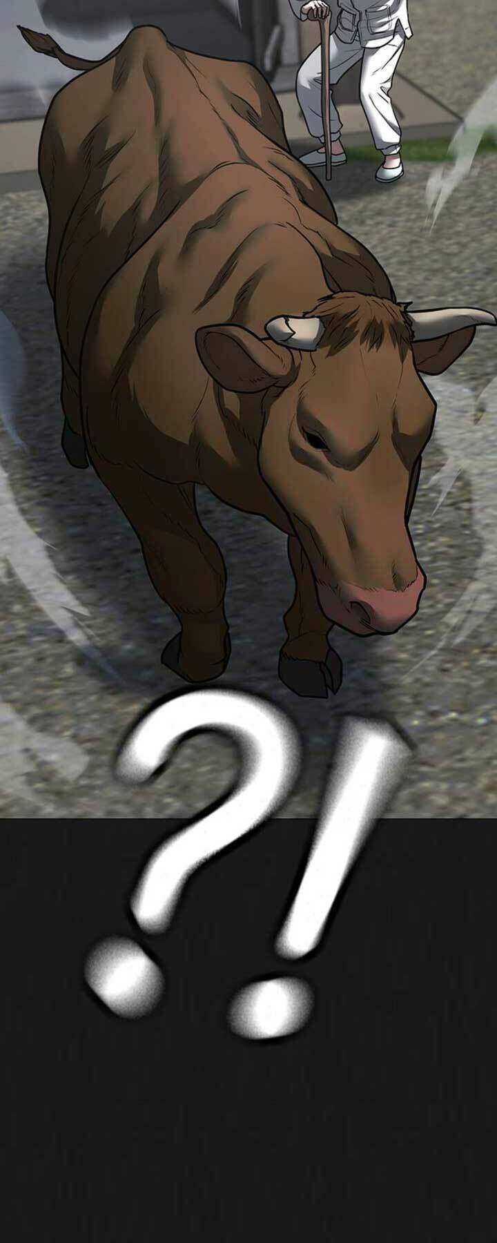 Chapter 104