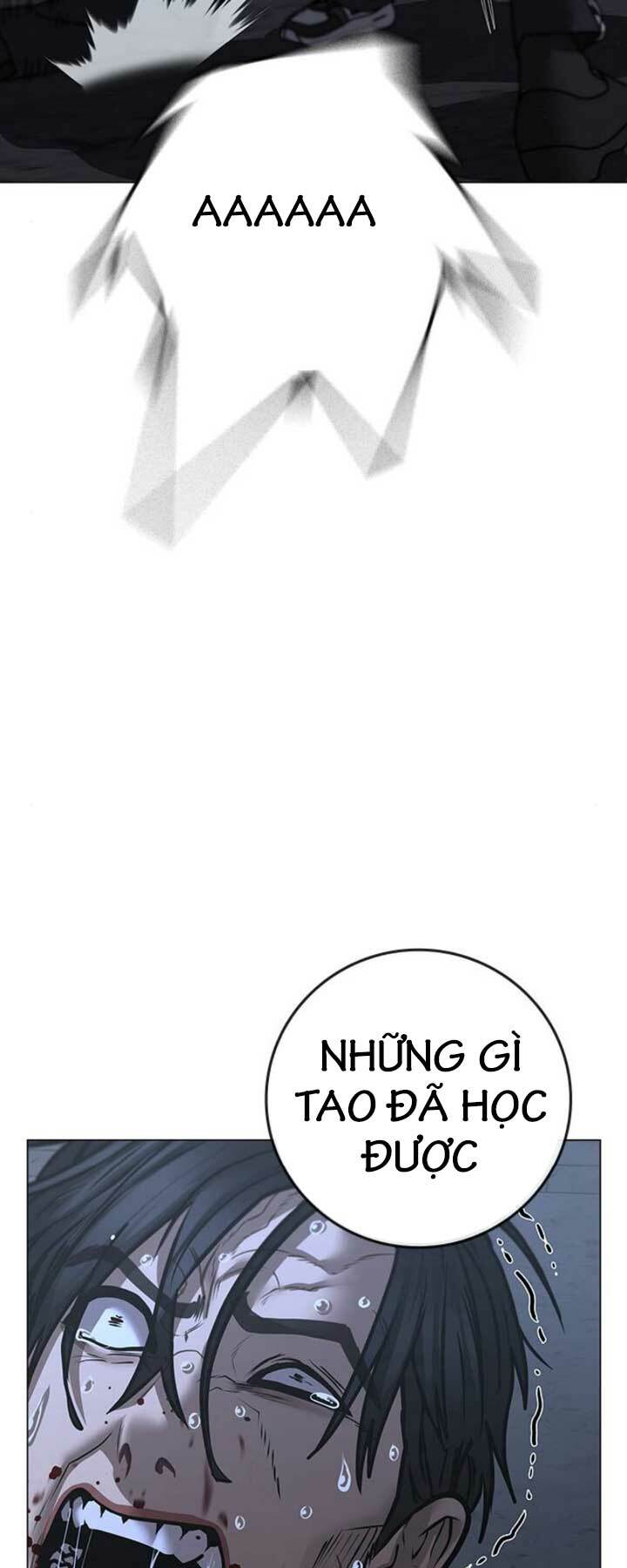 Chapter 104
