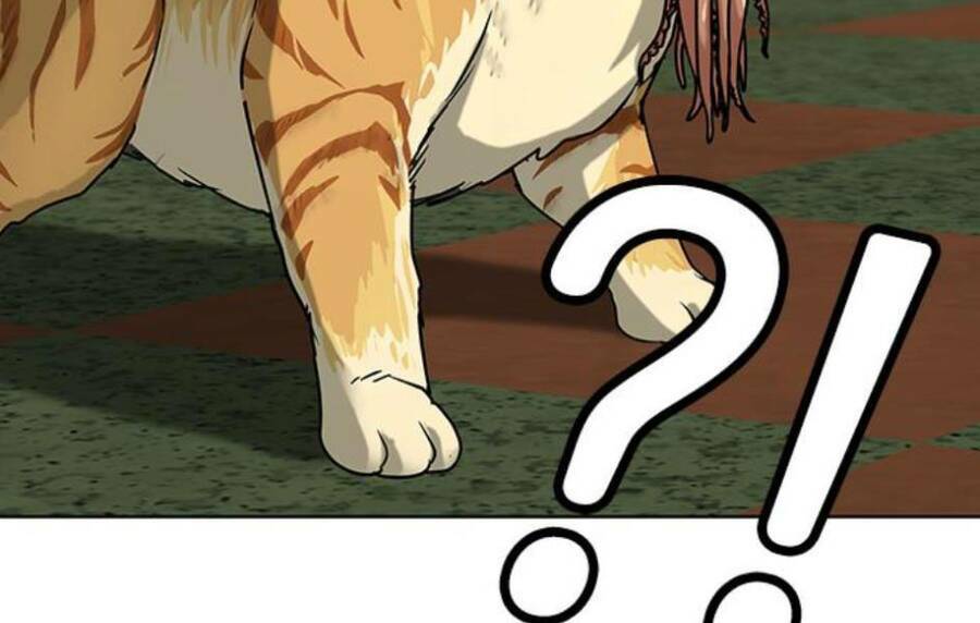 Chapter 14