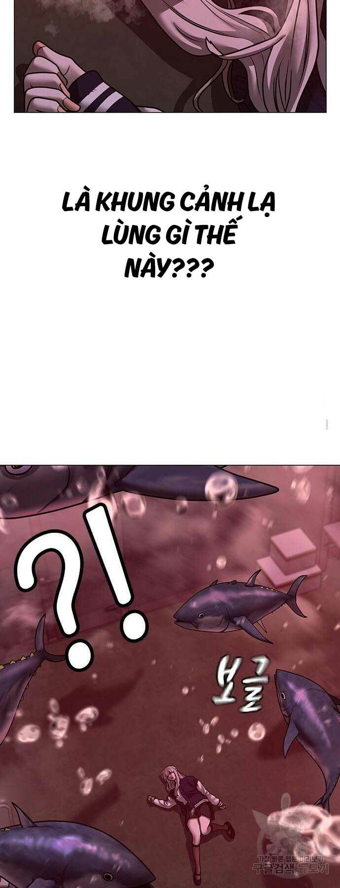 Chapter 114
