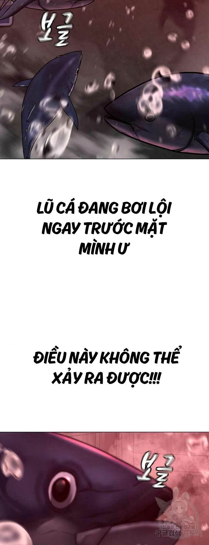 Chapter 114