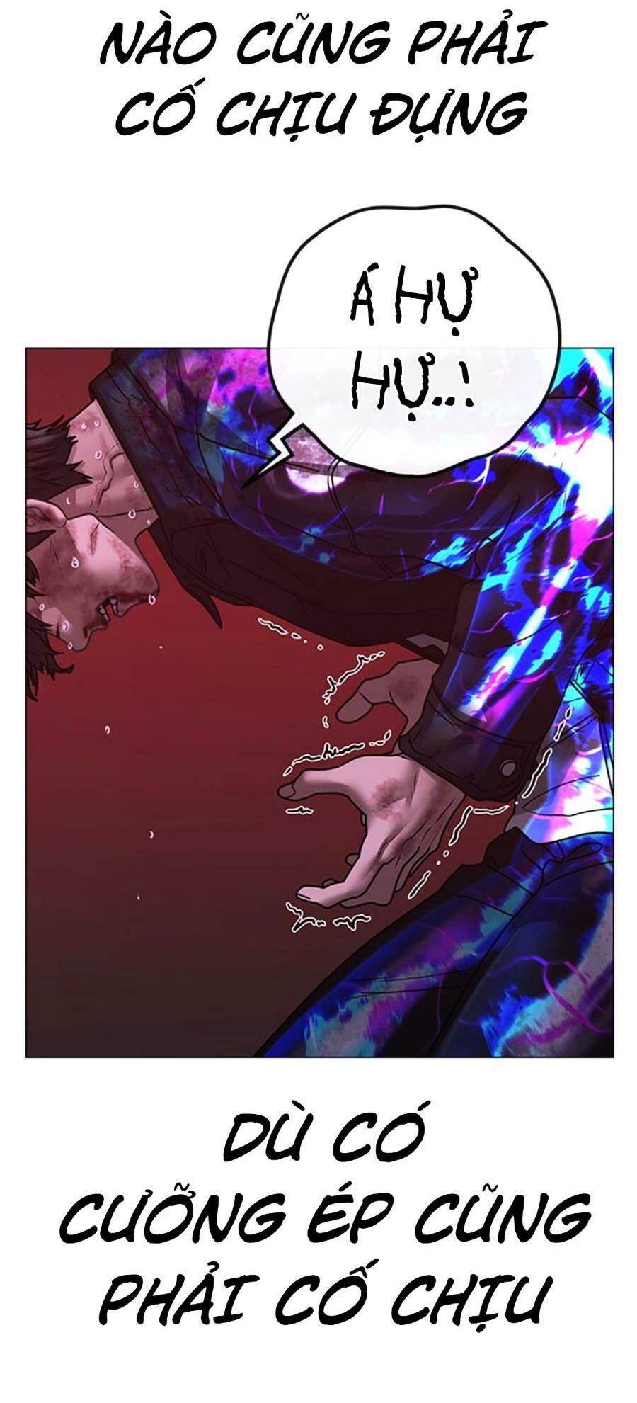 Chapter 117