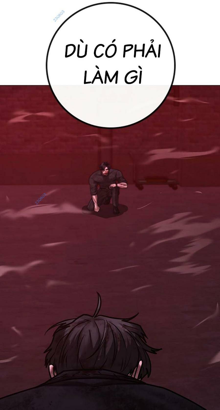 Chapter 117