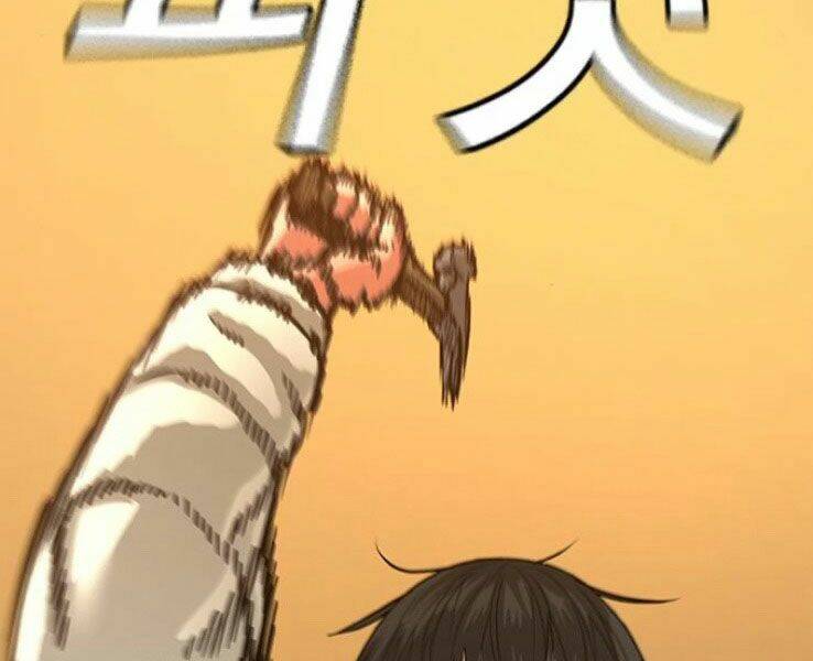 Chapter 17
