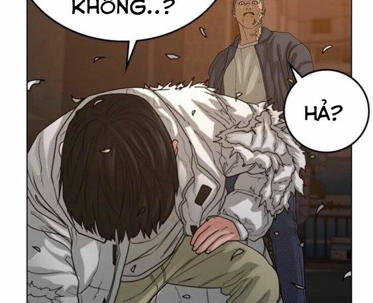 Chapter 19