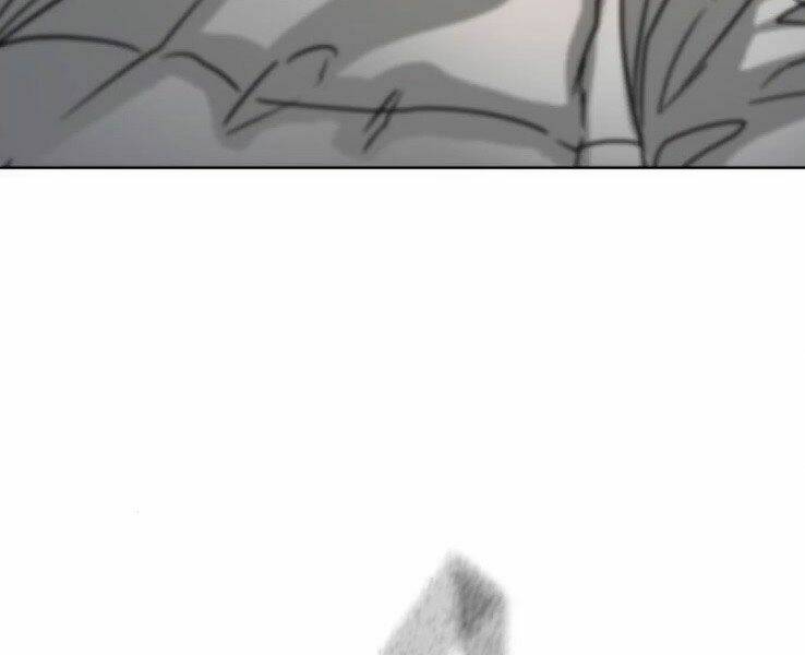 Chapter 19