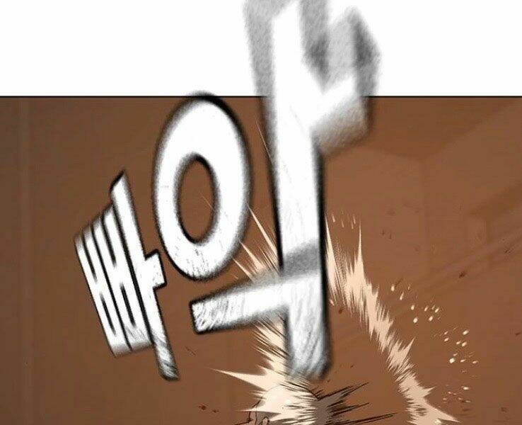Chapter 19