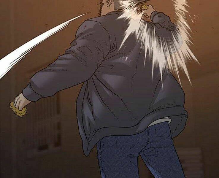 Chapter 19