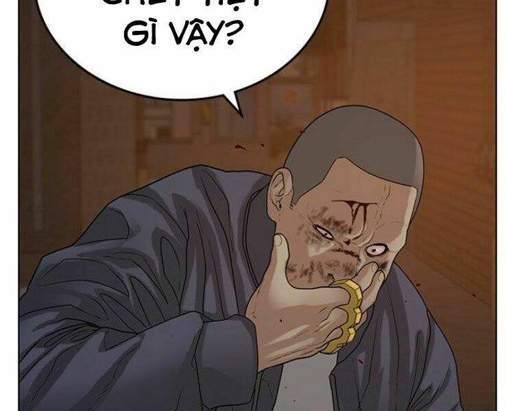 Chapter 19
