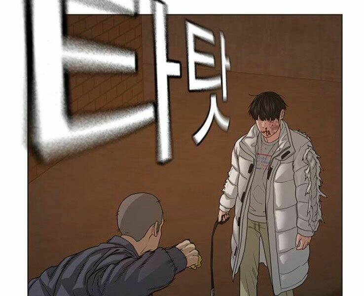 Chapter 19