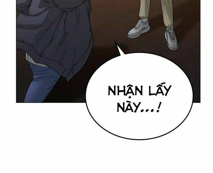 Chapter 19