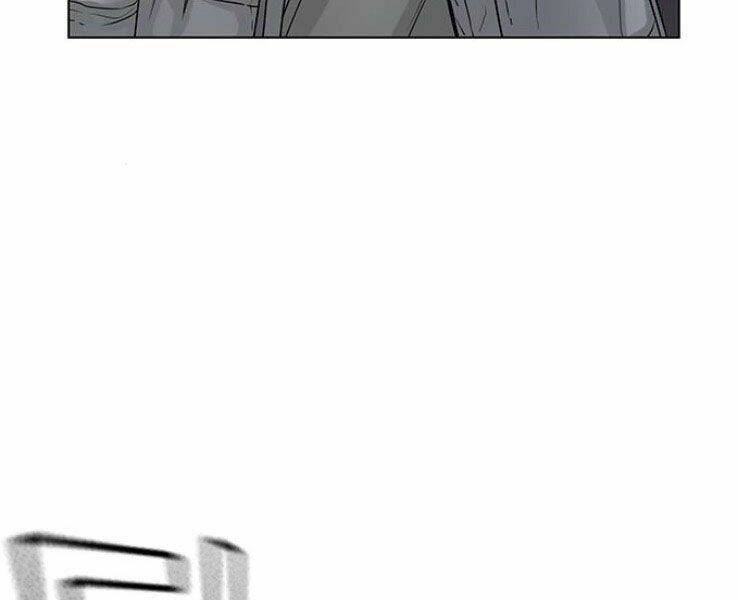 Chapter 19
