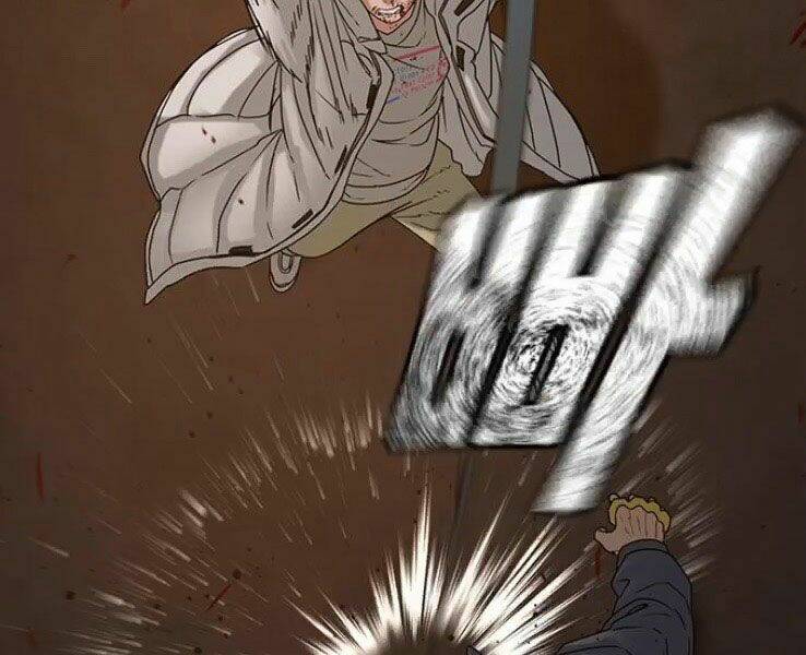 Chapter 19
