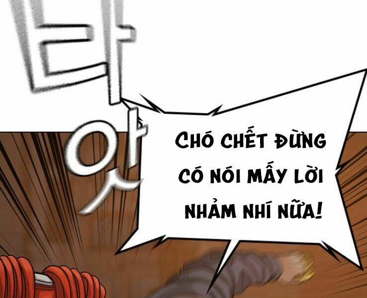 Chapter 19