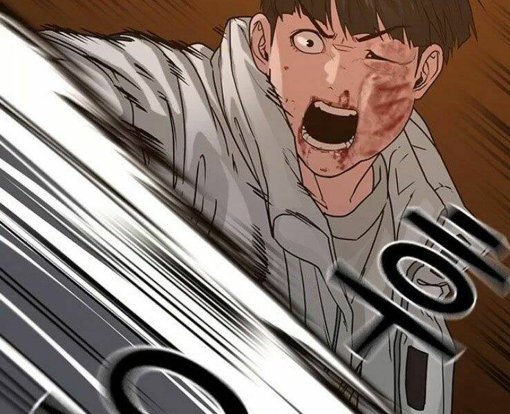 Chapter 19