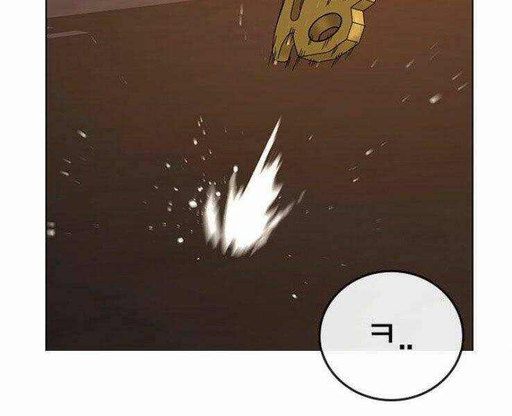 Chapter 19