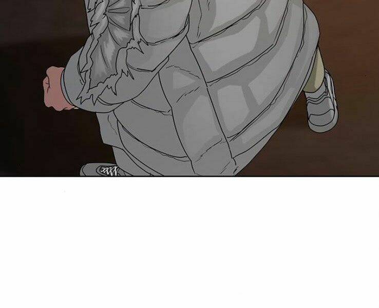 Chapter 19