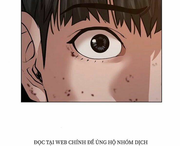 Chapter 19