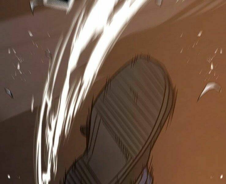 Chapter 19