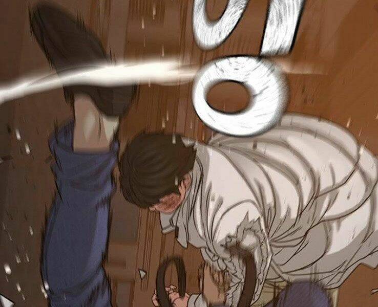 Chapter 19