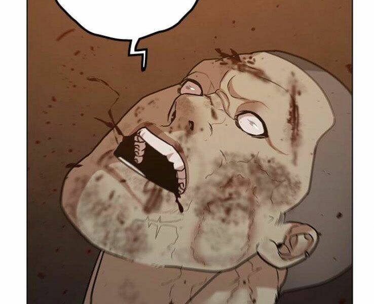 Chapter 19