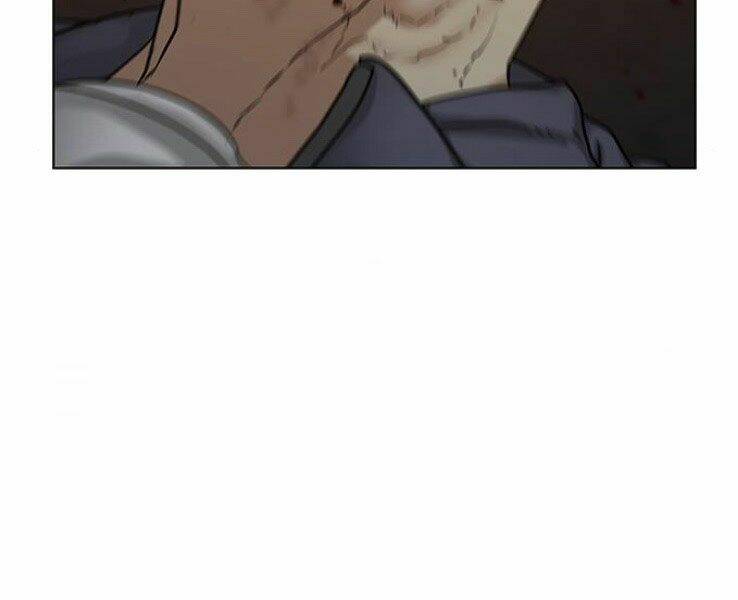 Chapter 19
