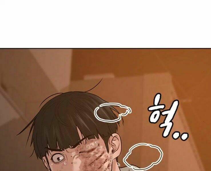 Chapter 19