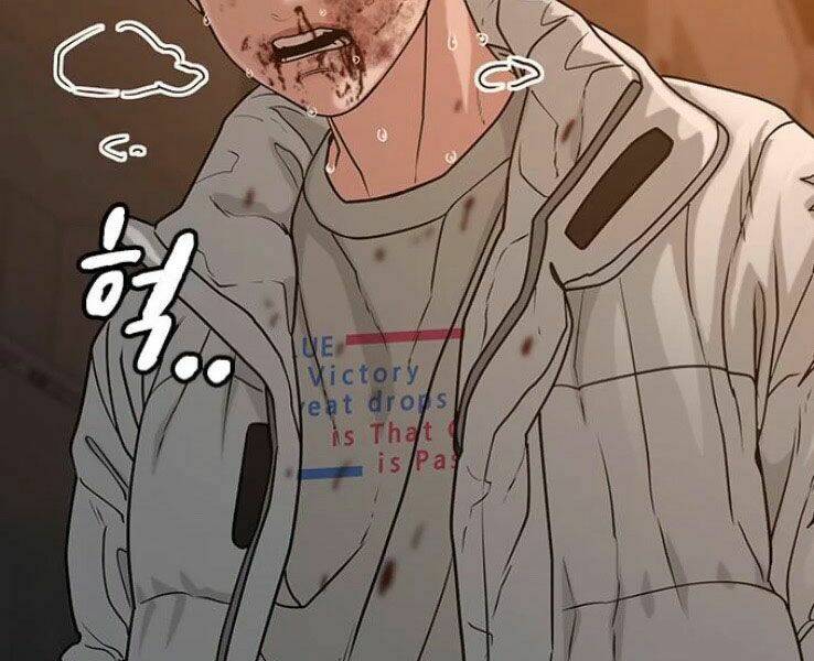 Chapter 19