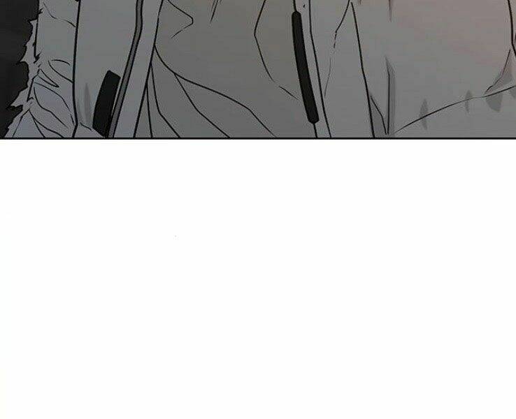 Chapter 19