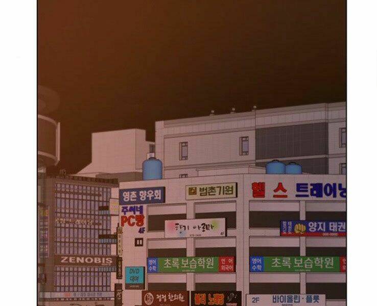 Chapter 19