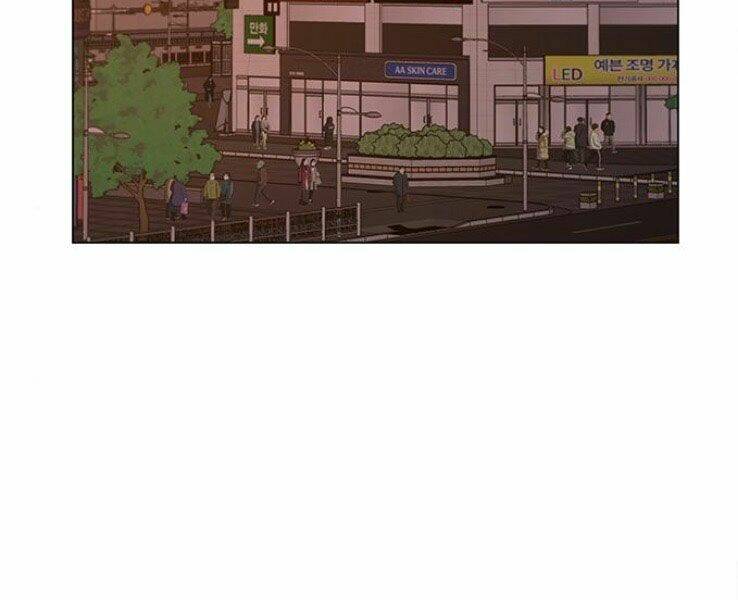 Chapter 19
