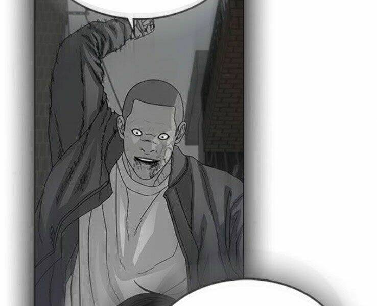 Chapter 19
