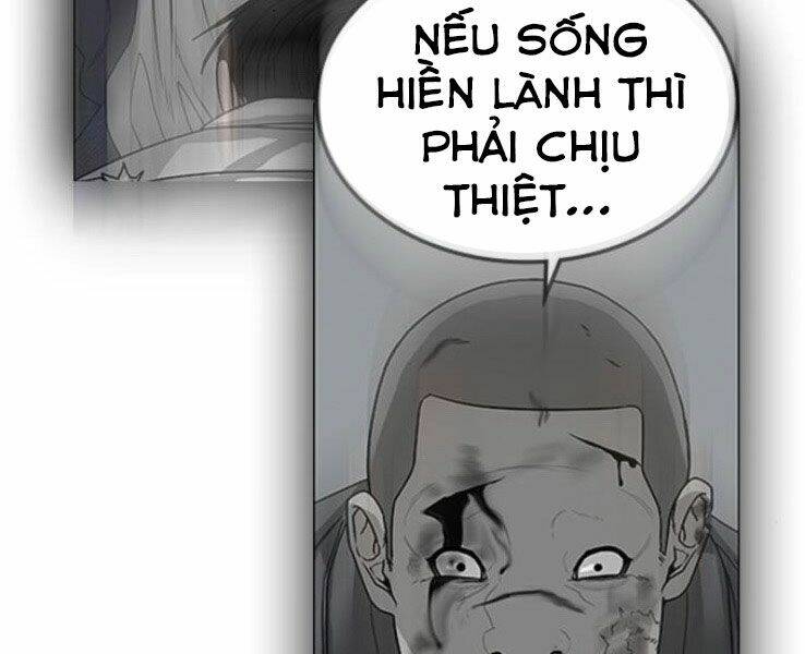 Chapter 19