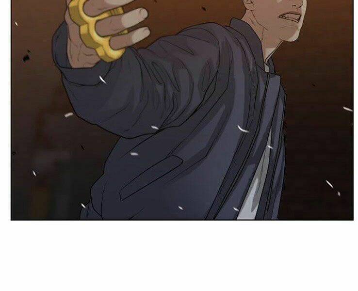 Chapter 19