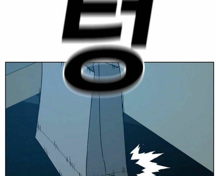 Chapter 19
