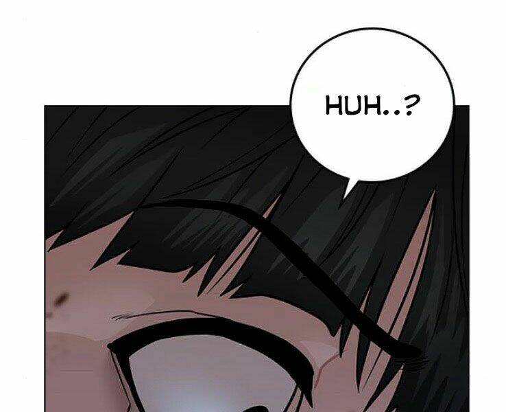 Chapter 19