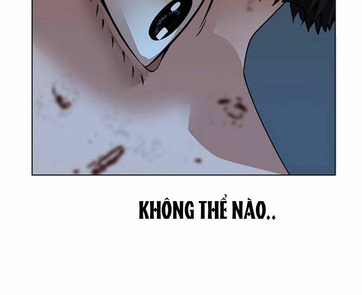 Chapter 19