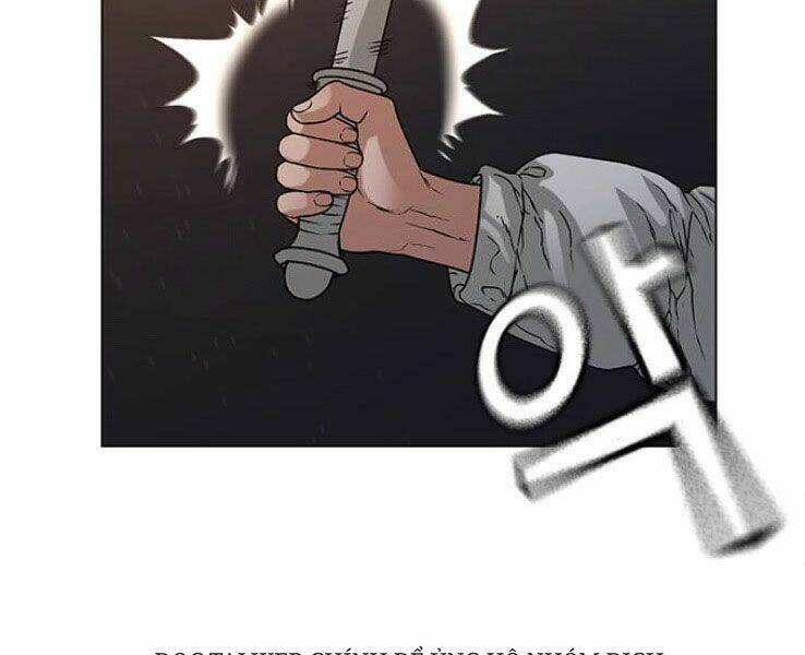 Chapter 19
