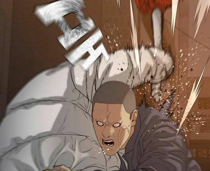 Chapter 19