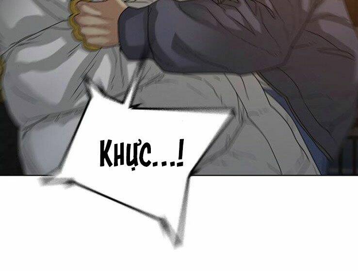 Chapter 19