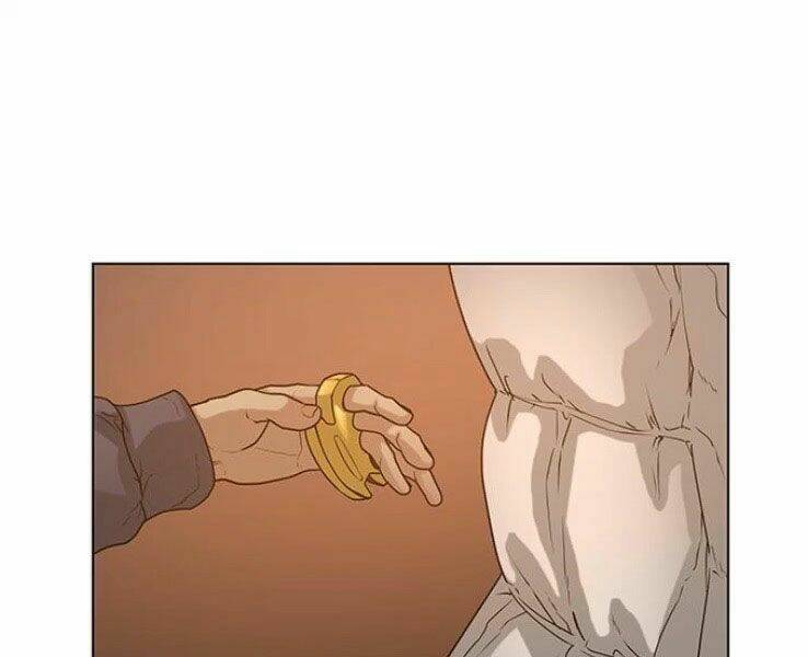 Chapter 19